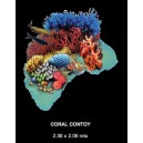 Coral Contoy