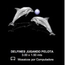 Delfines Jugando Pelota